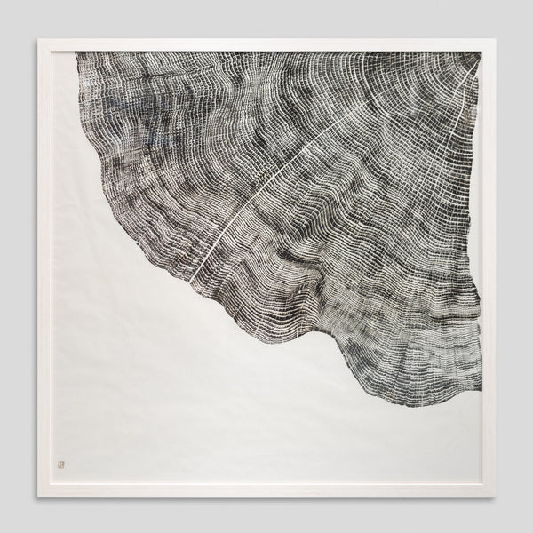 Rainforest Gold by Jonathan Ford | Rainforest Gold turns a stark reality into a conversation starter. It serves as a poignant reminder that a quarter of the world's rainforests were lost by the 1980s, a devastation that continues today.