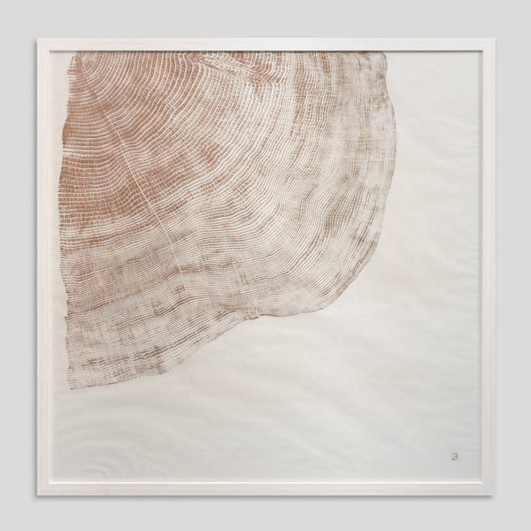 Rainforest Gold by Jonathan Ford | Rainforest Gold turns a stark reality into a conversation starter. It serves as a poignant reminder that a quarter of the world's rainforests were lost by the 1980s, a devastation that continues today.