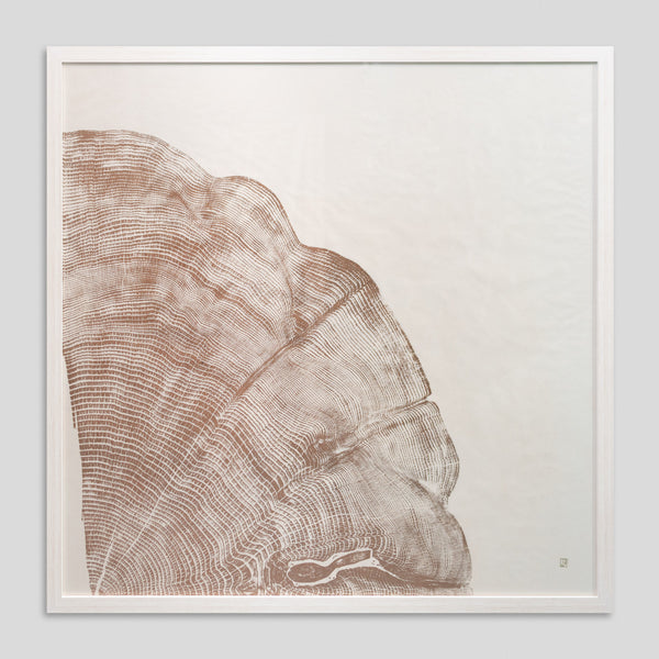 Rainforest Gold by Jonathan Ford | Rainforest Gold turns a stark reality into a conversation starter. It serves as a poignant reminder that a quarter of the world's rainforests were lost by the 1980s, a devastation that continues today.