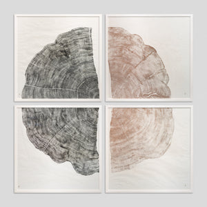 Rainforest Gold by Jonathan Ford | Rainforest Gold turns a stark reality into a conversation starter. It serves as a poignant reminder that a quarter of the world's rainforests were lost by the 1980s, a devastation that continues today.