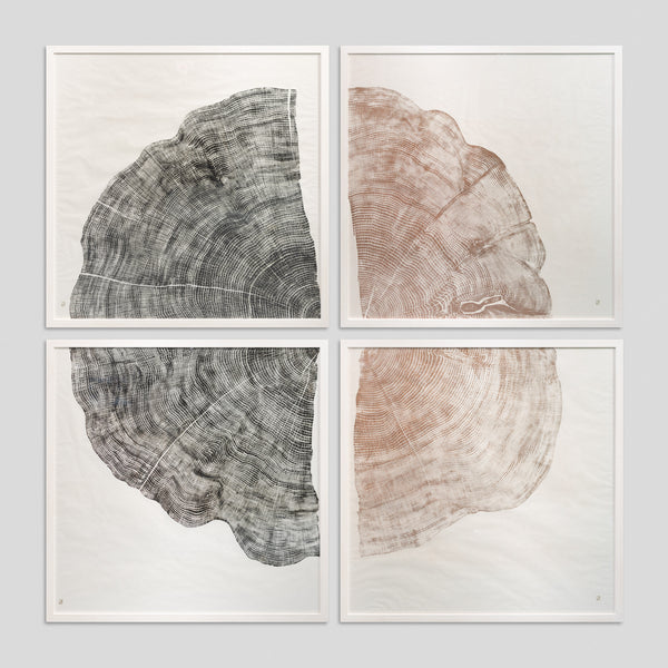 Rainforest Gold by Jonathan Ford | Rainforest Gold turns a stark reality into a conversation starter. It serves as a poignant reminder that a quarter of the world's rainforests were lost by the 1980s, a devastation that continues today.